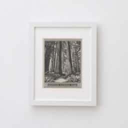 Redwood National Park Lithograph Style Print - Vintage California Archival Matte Fine Art Print. Jedediah Smith Prairie Creek Redwoods Gift - thumbnail 3