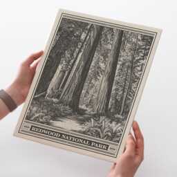 Redwood National Park Lithograph Style Print - Vintage California Archival Matte Fine Art Print. Jedediah Smith Prairie Creek Redwoods Gift - thumbnail 2