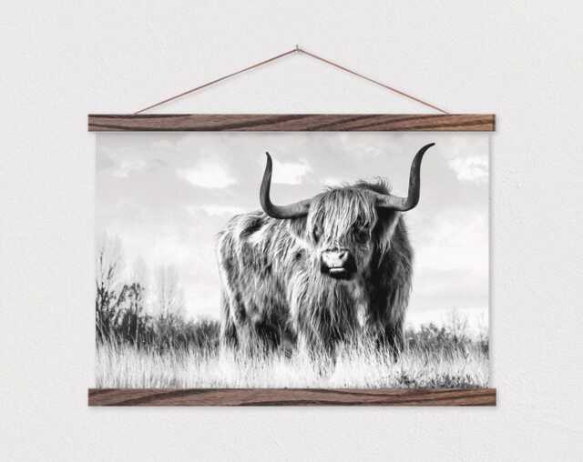 Wild Cow Canvas Print With Wood Poster Hanger - image 1