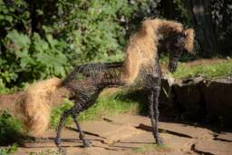 Horse Figurine, Wired Animal, Home Decor, Wire Horse, Lover Gift, Sculpture, Modern Big Metal