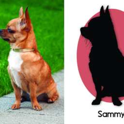Custom Pet Silhouette // Portrait Picture Print Personalized Wall Art 8 X 10 - thumbnail 3