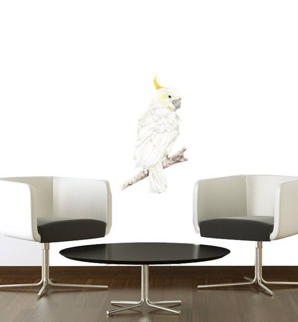 Sammy The Cockatoo Wall Sticker Decal - Australian Animal Decals, Stickers, Kids, Native Animals Art