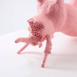 Lychee Pink Horse Insect Hybrid Sculpture - Surreal Art, Hand Made - thumbnail 3