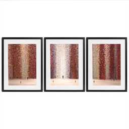 Romance & Rain Framed Art Print Trio - thumbnail 1