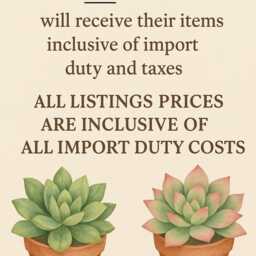 Faux Succulent Planter Artificial Foliage Wood Centrepiece, Modern Decor - thumbnail 2