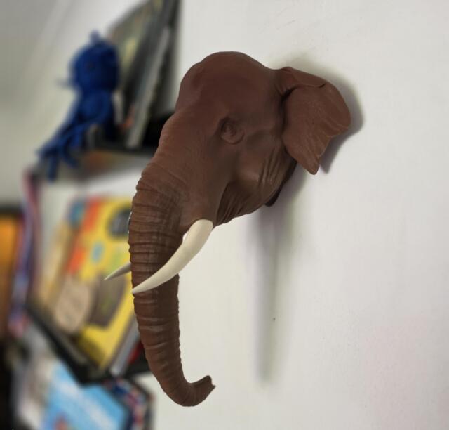 Indian Elephant Wall Art - Animal Mount- 3D Printed - image 1