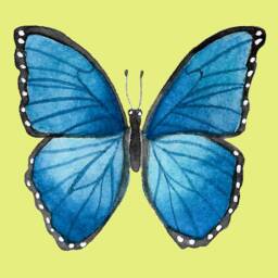Physical Blue Butterfly Art Print Home Decor Digital Download PDF Watercolor Nursery Office Feminine Girls Bedroom Green Butterfly Art - thumbnail 2