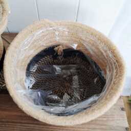 Basket Planter in Natural With Black Stripe - Plastic Lined - thumbnail 2