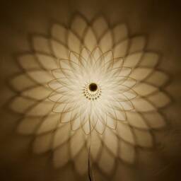 Shadow Lamp Wall - Flower Wooden Lampshade Ceiling Light
