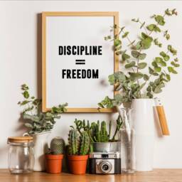 Discipline Motivational Print Set - Home Office Decor, Inspiring Posters, Entrepreneur Wall Art - A4, A3, A2, A1 Unframed - thumbnail 3