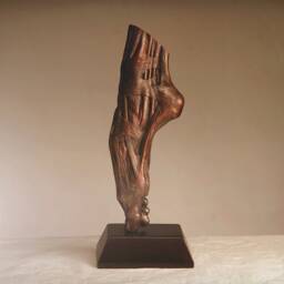 En Pointe - Musculi Et Tendines Pedis - thumbnail 3