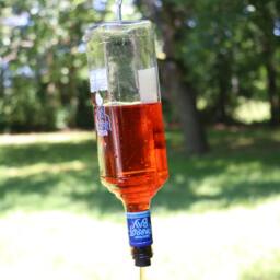 Parot Bay Rum Bottle Hummingbird Feeder - thumbnail 3
