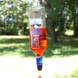 Parot Bay Rum Bottle Hummingbird Feeder - thumbnail 4