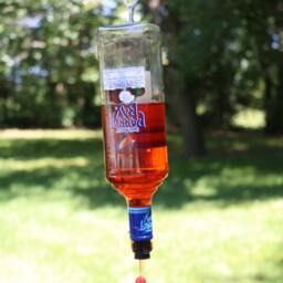 Parot Bay Rum Bottle Hummingbird Feeder - thumbnail 2