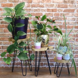 Set Of 3 Gamell Wood Plant Stands Display Hand Crafted Hairpin Legs Home Decor - thumbnail 2