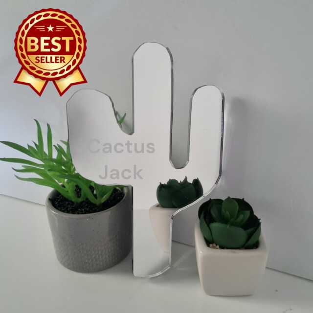 Personalized Cactus Acrylic Mirror Wall Art Engraved Decor - image 1