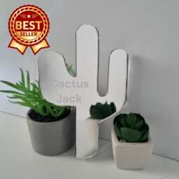 Personalized Cactus Acrylic Mirror Wall Art Engraved Decor - thumbnail 1