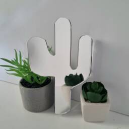 Personalized Cactus Acrylic Mirror Wall Art Engraved Decor - thumbnail 2