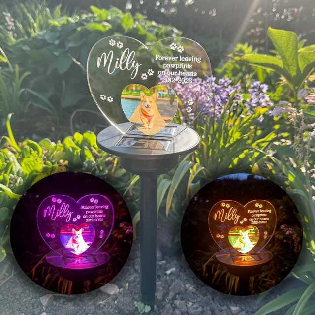 Personalised Pet Dog Photo Memorial Led Garden Colour Changing Solar Light Stake - image 1