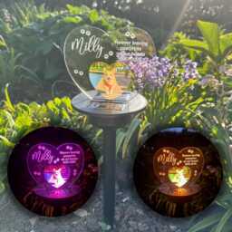 Personalised Pet Dog Photo Memorial Led Garden Colour Changing Solar Light Stake - thumbnail 1