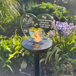 Personalised Pet Dog Photo Memorial Led Garden Colour Changing Solar Light Stake - thumbnail 2