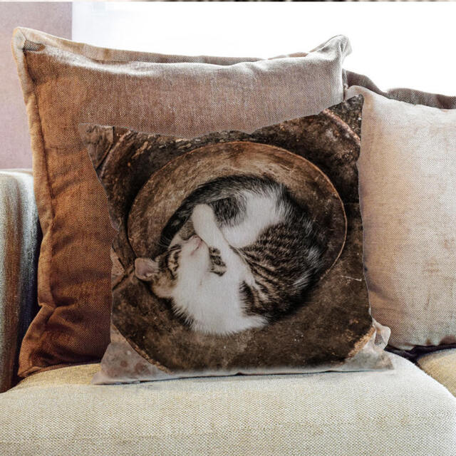 Cat Sleeping Animal Whiskers Photography - Decorative Pillow Throw Cushion Fabric , Case Cover Or With Filling