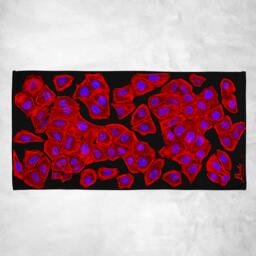 Cytoskeleton Beach Towel - Science Art, Fashion, Molecular Biology, Cells, Mitosis, Anaphase, Dna, Actin, Stem, Teacher, Gift, Phd - thumbnail 2