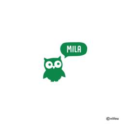 Sticker Owl Names Children Wall Decals Nursery Tattoos Kids Stickers Door Baby Room Decor Owls Illustration Nameplates Diy - thumbnail 1