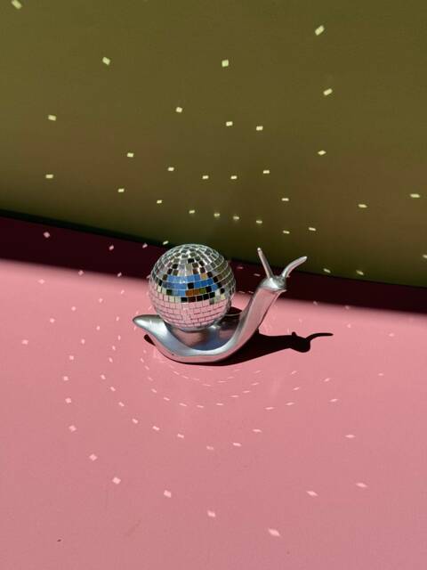 Disco Ball Snail - image 1