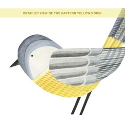Eastern Yellow Robin Kit - Peel-And-stick Wall Decals Mej - thumbnail 4