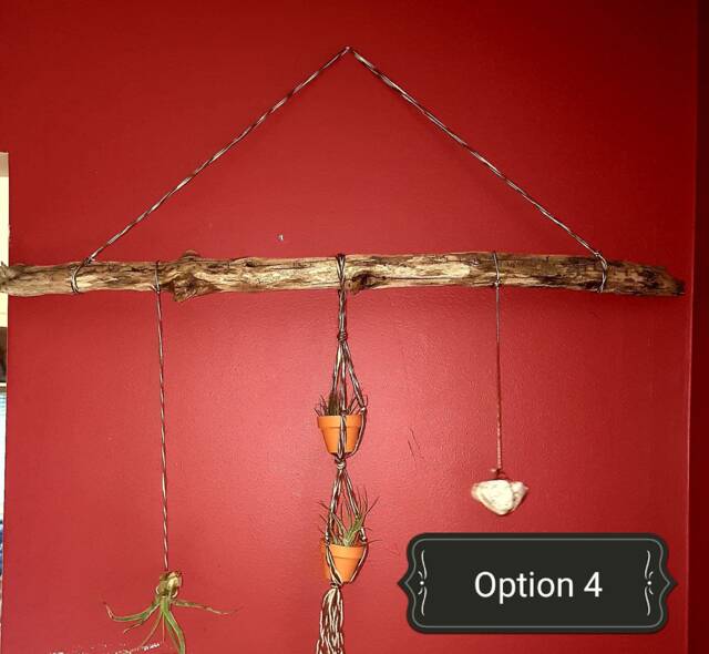 The Deuxi??me Driftwood Wall Decor
