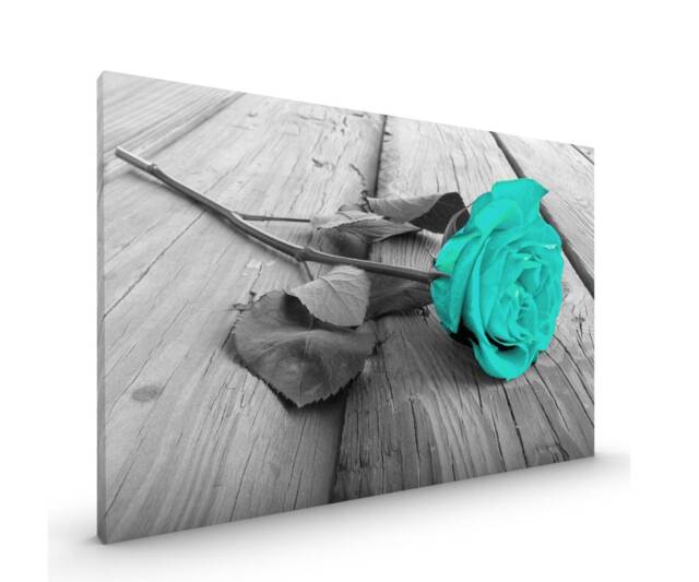 Teal Rose On Black & White Canvas Framed Glossy Coated Premium With Metal Hanger Various Sizes Green Blue - image 1