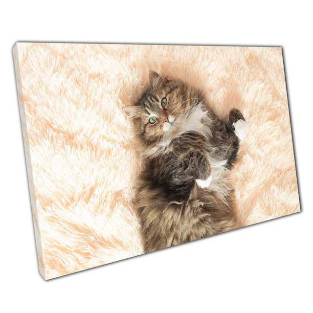 Serene Siberian Kitten Canvas Print Cozy Feline Wall Art For Home & Office Decor - image 1