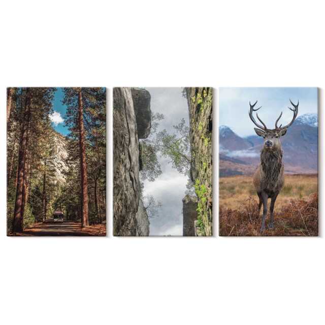 Set Of 3 Canvas Prints - Road in The Forest, Mountains & Deer Nature, Brown Picture Print, Landscapes Wall Decor - image 1