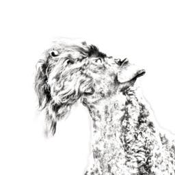 Kerry Blue Terrier - Wooden Stand For Candles/Pens With The Image Of A Dog New Collection - thumbnail 2