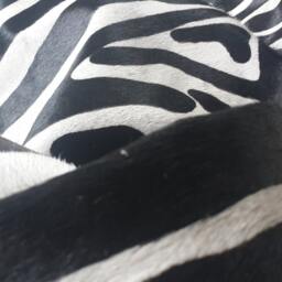Cowhide Rug Zebra Black White 6.9 X 6.2 Ft A489 Peau De Zebre Piel Vaca Impresa Cebra - thumbnail 3