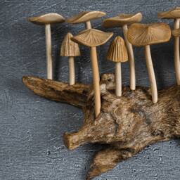 Handmade Wooden Mushroom Wall Art, 8 - thumbnail 4