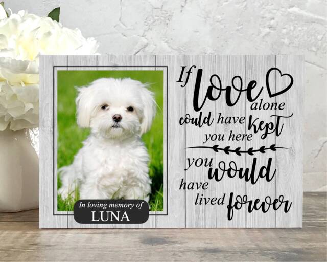 Dog Memorial Gift, Memorial, Pet Frame, Plaque, Photo Picture Cat - image 1