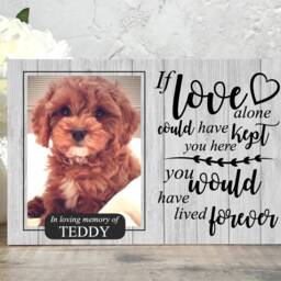 Dog Memorial Gift, Memorial, Pet Frame, Plaque, Photo Picture Cat - thumbnail 3