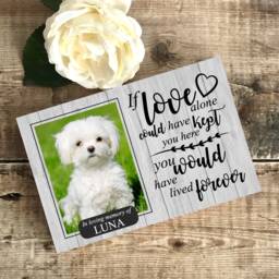 Dog Memorial Gift, Memorial, Pet Frame, Plaque, Photo Picture Cat - thumbnail 2