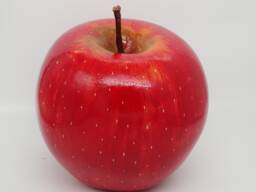 Handmade Ceramic Apple Sculpture - Large Realistic Fruit Decor - thumbnail 1