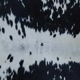 Versatile Medium Cowhide Accent - Black & White Premium Hair-On Leather Rug - thumbnail 3