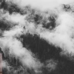 Misty Mountain Art Peel & Stick Mural, Foggy Forest, Removable Renter Wallpaper - thumbnail 4
