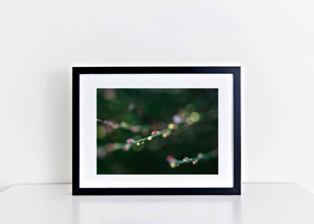 Wall Art - Living Room Photography Dining- Abstract Print Floral Print Candy Sprigs - image 1