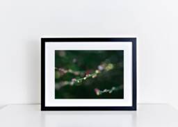 Wall Art - Living Room Photography Dining- Abstract Print Floral Print Candy Sprigs - thumbnail 1
