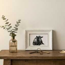 Aberdeen Angus Mini Art Print 17x12cm - Framed White Rustic Frame Majestic, Gentle, Iconic Edswatercolours - thumbnail 2