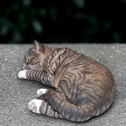 Sleeping Kitty Sculpture Concrete Cat Statue Outdoor Kitten Figurine Stone Animal Decoration Cement Pet Ornament Handmade Art Gift - thumbnail 2