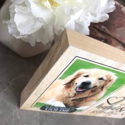 Dog Memorial, Memorial Gift, Loss Frame, Sympathy Custom Sign, Picture Frame - thumbnail 3