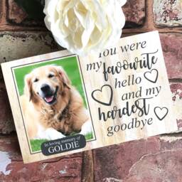 Dog Memorial, Memorial Gift, Loss Frame, Sympathy Custom Sign, Picture Frame - thumbnail 2