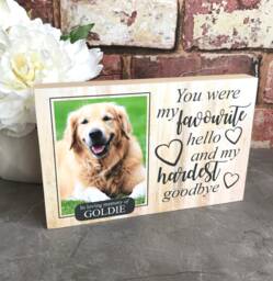 Dog Memorial, Memorial Gift, Loss Frame, Sympathy Custom Sign, Picture Frame - thumbnail 1